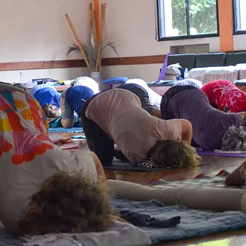 Taller de Pre-Formación Feldenkrais 2024